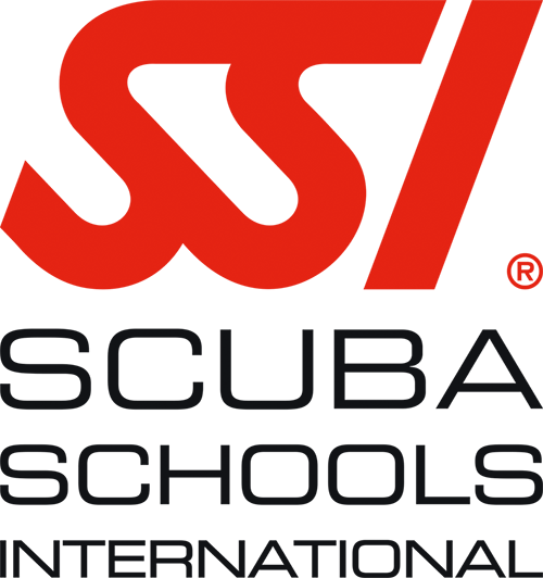 SSI Logo